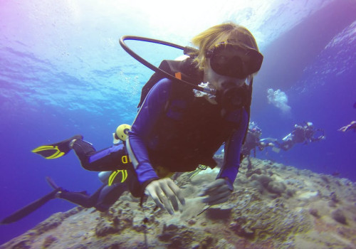 Waarom wordt Bonaire een 'duikparadijs' genoemd?